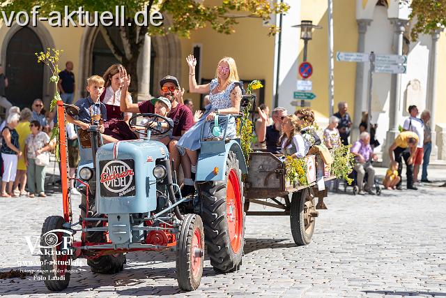 Foto Laudi_ Volksfestzug-121.jpg